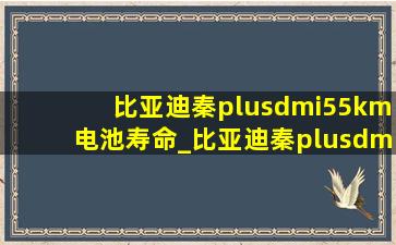 比亚迪秦plusdmi55km电池寿命_比亚迪秦plusdmi55km电池寿命多久