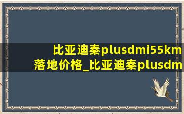 比亚迪秦plusdmi55km落地价格_比亚迪秦plusdmi55km落地价