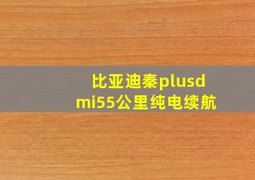 比亚迪秦plusdmi55公里纯电续航