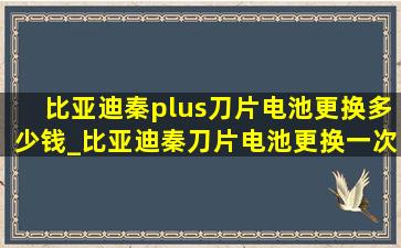 比亚迪秦plus刀片电池更换多少钱_比亚迪秦刀片电池更换一次多少钱