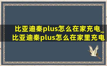 比亚迪秦plus怎么在家充电_比亚迪秦plus怎么在家里充电