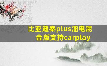 比亚迪秦plus油电混合版支持carplay