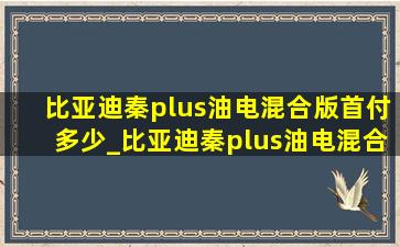 比亚迪秦plus油电混合版首付多少_比亚迪秦plus油电混合版手机充电