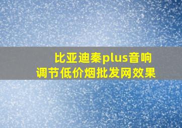 比亚迪秦plus音响调节(低价烟批发网)效果