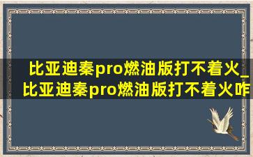 比亚迪秦pro燃油版打不着火_比亚迪秦pro燃油版打不着火咋办