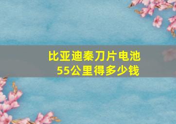 比亚迪秦刀片电池55公里得多少钱