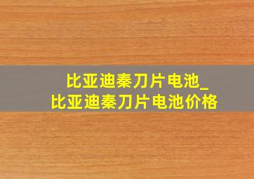 比亚迪秦刀片电池_比亚迪秦刀片电池价格