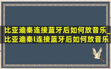 比亚迪秦连接蓝牙后如何放音乐_比亚迪秦l连接蓝牙后如何放音乐