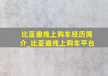 比亚迪线上购车经历简介_比亚迪线上购车平台