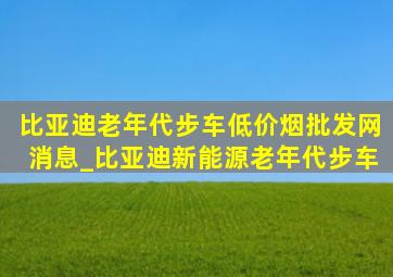 比亚迪老年代步车(低价烟批发网)消息_比亚迪新能源老年代步车