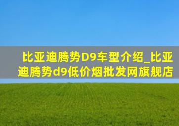 比亚迪腾势D9车型介绍_比亚迪腾势d9(低价烟批发网)旗舰店