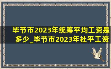 毕节市2023年统筹平均工资是多少_毕节市2023年社平工资多少