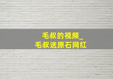 毛叔的视频_毛叔送原石网红