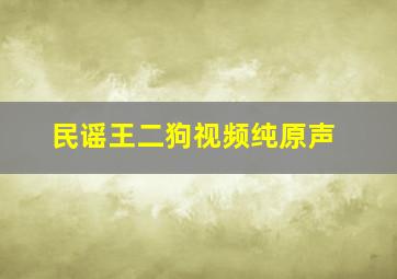 民谣王二狗视频纯原声