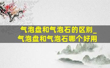 气泡盘和气泡石的区别_气泡盘和气泡石哪个好用