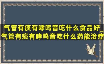 气管有痰有哮鸣音吃什么食品好_气管有痰有哮鸣音吃什么药能治疗