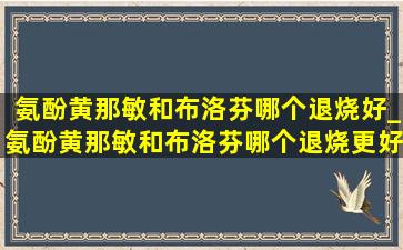 氨酚黄那敏和布洛芬哪个退烧好_氨酚黄那敏和布洛芬哪个退烧更好