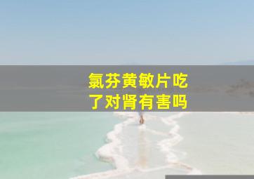 氯芬黄敏片吃了对肾有害吗