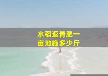 水稻返青肥一亩地施多少斤