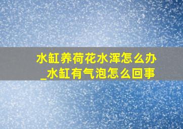 水缸养荷花水浑怎么办_水缸有气泡怎么回事