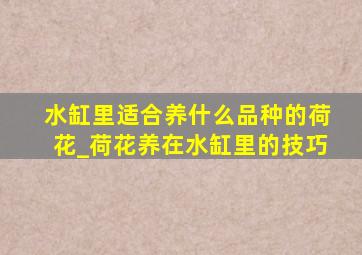 水缸里适合养什么品种的荷花_荷花养在水缸里的技巧