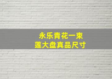 永乐青花一束莲大盘真品尺寸