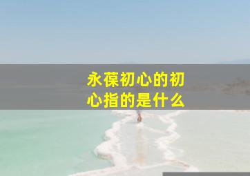 永葆初心的初心指的是什么