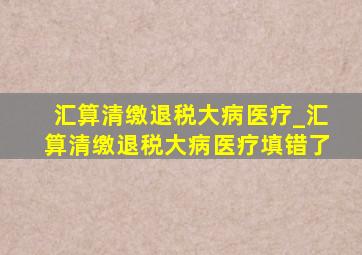 汇算清缴退税大病医疗_汇算清缴退税大病医疗填错了