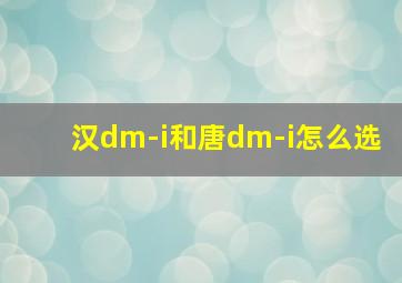 汉dm-i和唐dm-i怎么选