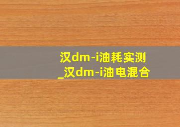 汉dm-i油耗实测_汉dm-i油电混合