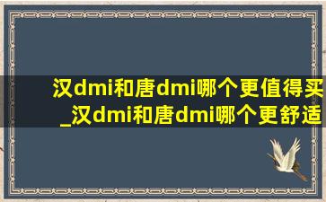 汉dmi和唐dmi哪个更值得买_汉dmi和唐dmi哪个更舒适