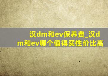 汉dm和ev保养费_汉dm和ev哪个值得买性价比高