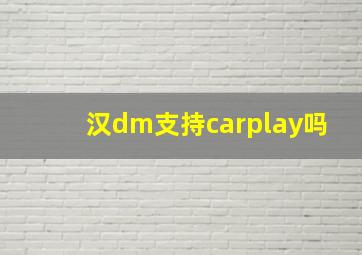 汉dm支持carplay吗