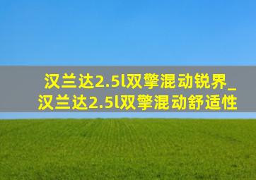 汉兰达2.5l双擎混动锐界_汉兰达2.5l双擎混动舒适性