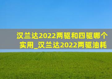 汉兰达2022两驱和四驱哪个实用_汉兰达2022两驱油耗