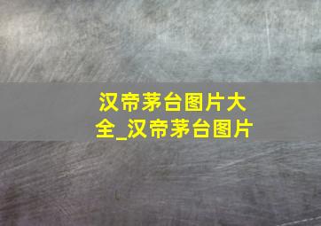 汉帝茅台图片大全_汉帝茅台图片