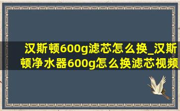 汉斯顿600g滤芯怎么换_汉斯顿净水器600g怎么换滤芯视频