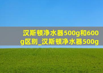 汉斯顿净水器500g和600g区别_汉斯顿净水器500g