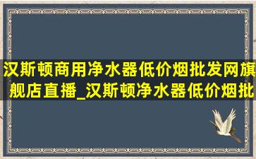 汉斯顿商用净水器(低价烟批发网)旗舰店直播_汉斯顿净水器(低价烟批发网)旗舰店直播