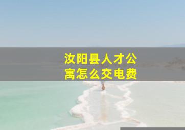 汝阳县人才公寓怎么交电费