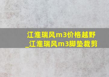 江淮瑞风m3价格越野_江淮瑞风m3脚垫裁剪