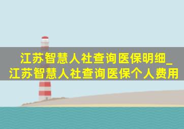 江苏智慧人社查询医保明细_江苏智慧人社查询医保个人费用