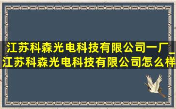 江苏科森光电科技有限公司一厂_江苏科森光电科技有限公司怎么样