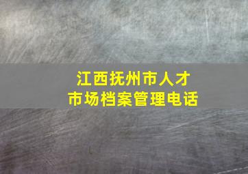 江西抚州市人才市场档案管理电话