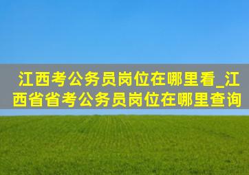 江西考公务员岗位在哪里看_江西省省考公务员岗位在哪里查询