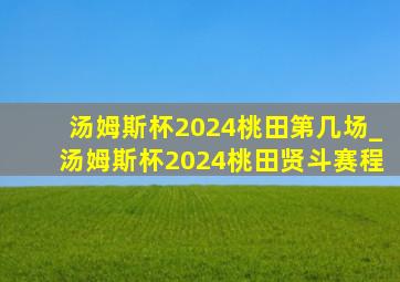 汤姆斯杯2024桃田第几场_汤姆斯杯2024桃田贤斗赛程