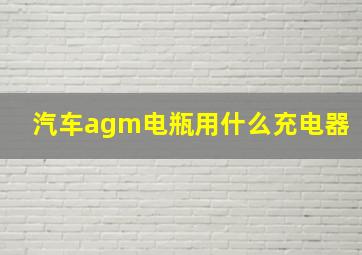 汽车agm电瓶用什么充电器