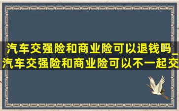 汽车交强险和商业险可以退钱吗_汽车交强险和商业险可以不一起交吗