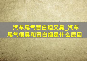 汽车尾气冒白烟又臭_汽车尾气很臭和冒白烟是什么原因