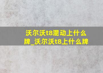 沃尔沃t8混动上什么牌_沃尔沃t8上什么牌